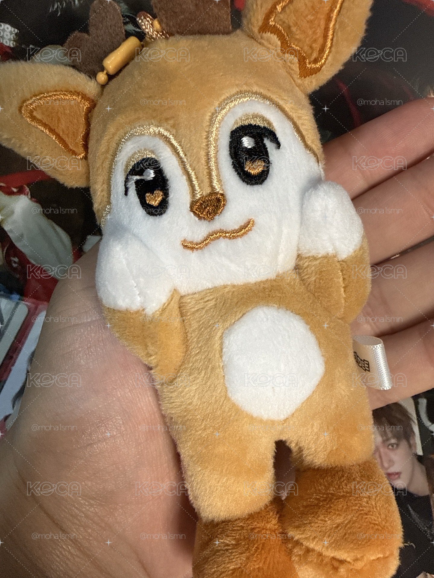 SEITA 卡+娃