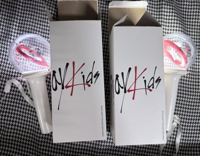(現貨 紙箱寄出 可當日寄出）straykids skz 一代手燈