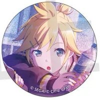 細閃 vol.45 A 徽章 水色花前