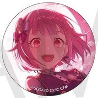 細閃 vol.46 A 徽章 成敗花後