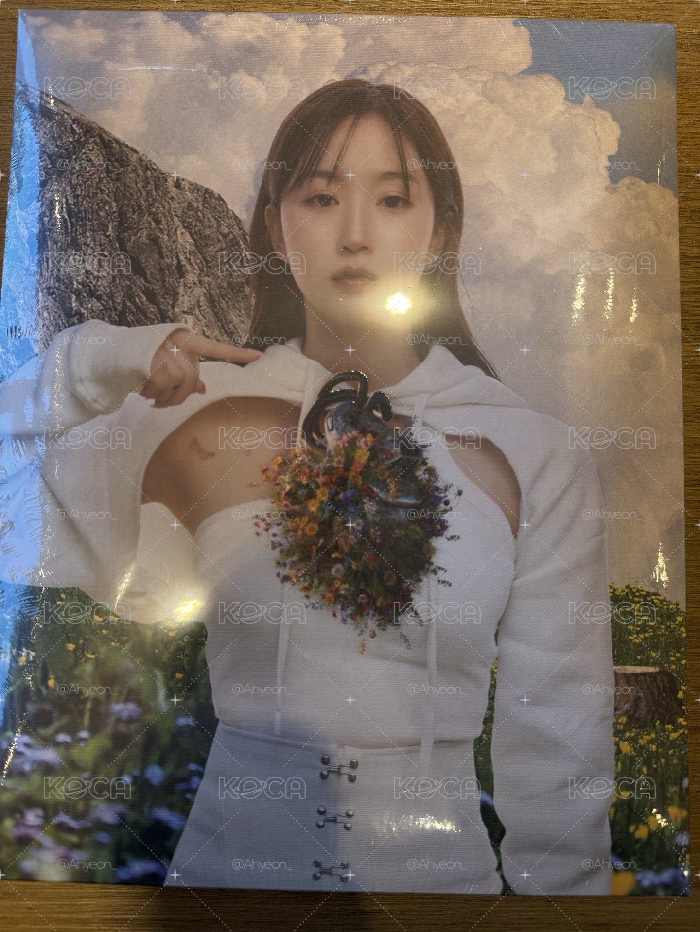 全新未拆封 海嫄