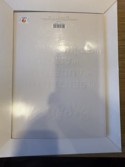 全新未拆封 海嫄
