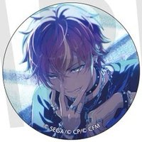細閃 vol.48 A 徽章 燃料花後