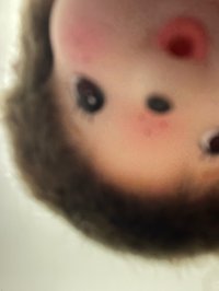 nx._