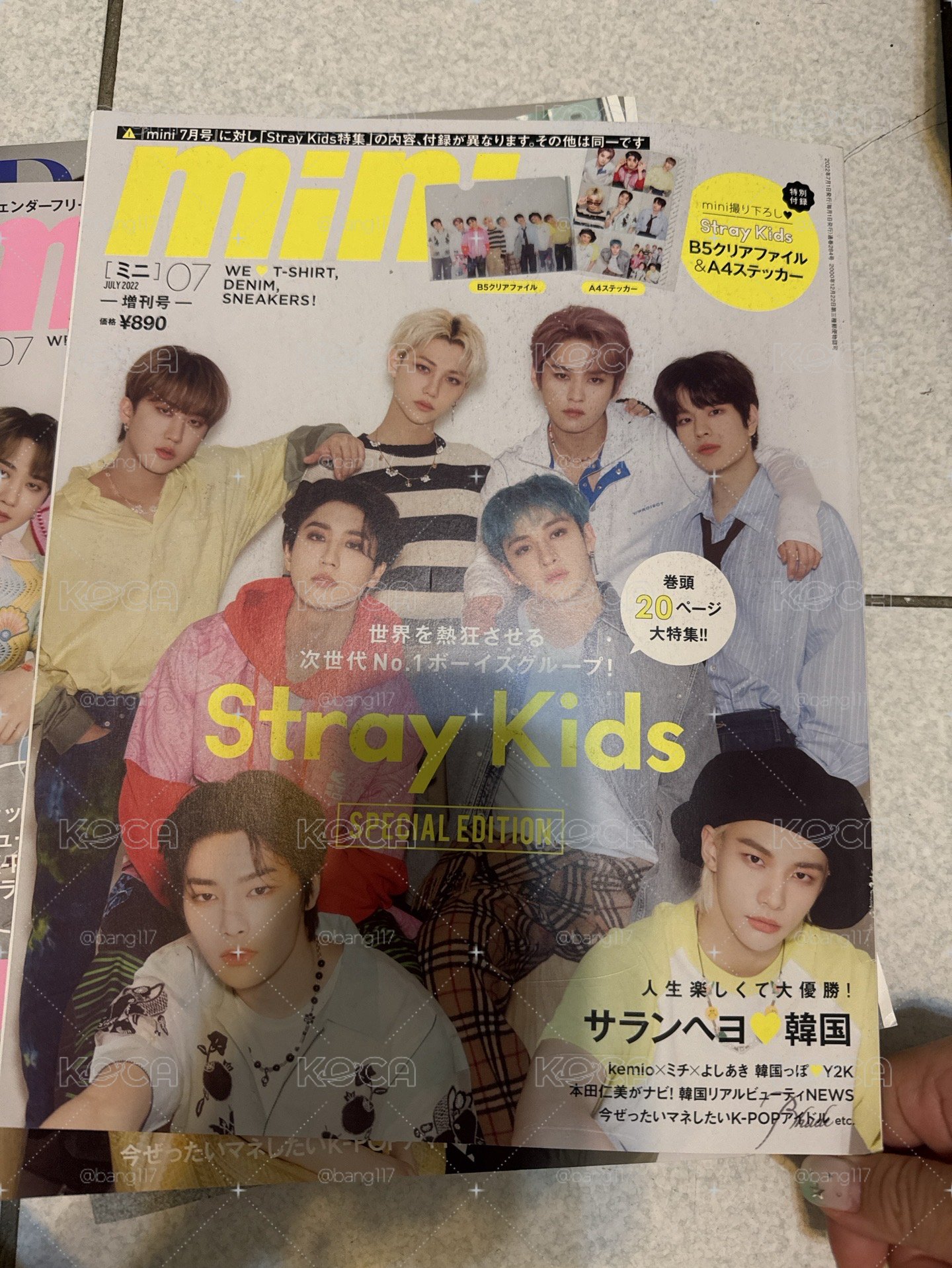 團體雜誌
