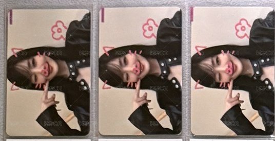 MS 寵物鏡頭
