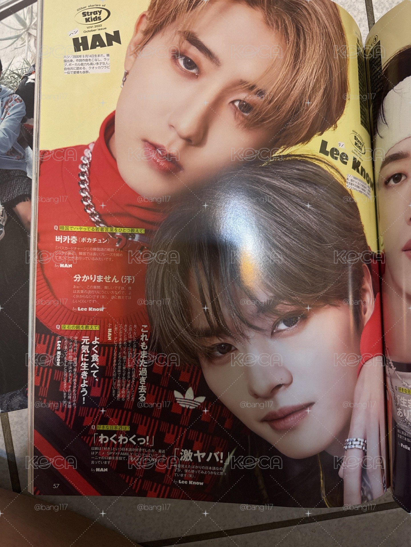 特別刊雜誌