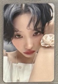 MS 花花