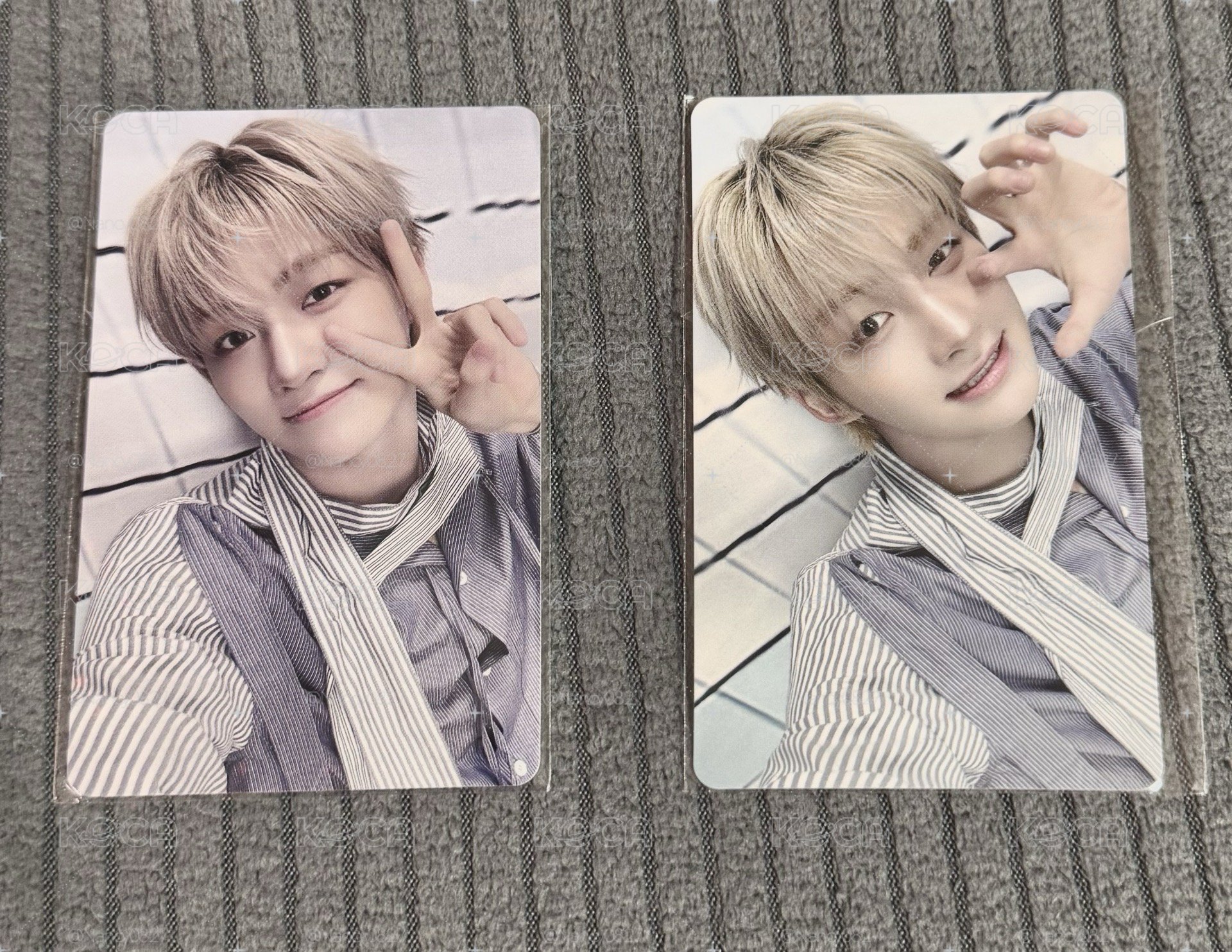 日咖虎爪薫