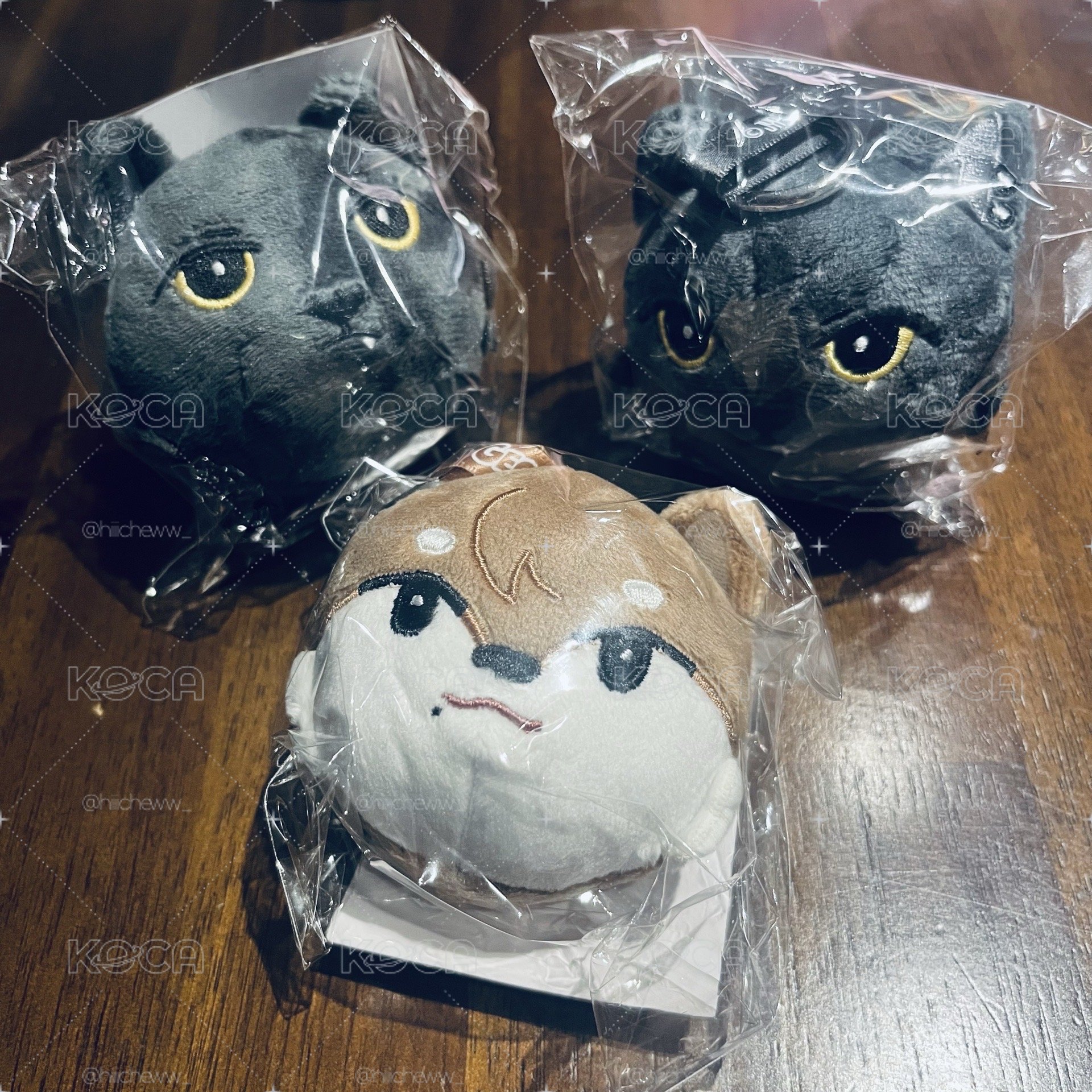 🐈‍⬛🐾日巡場周大頭娃