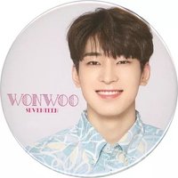 19’夏周 徽章 
