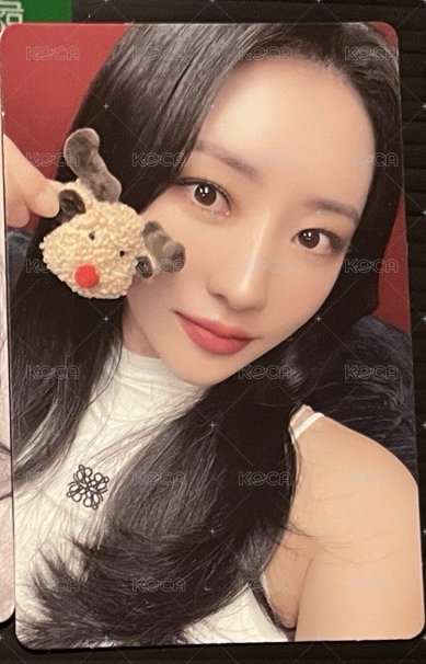 麋鹿秀雅