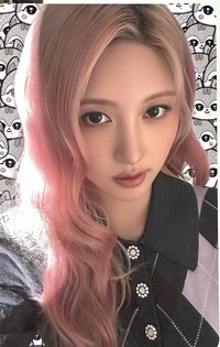 限定盤秋