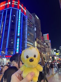 仙嘟瑞拉