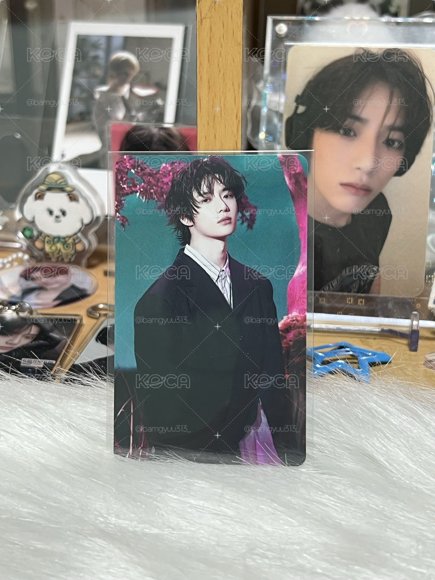 🍀環球圭