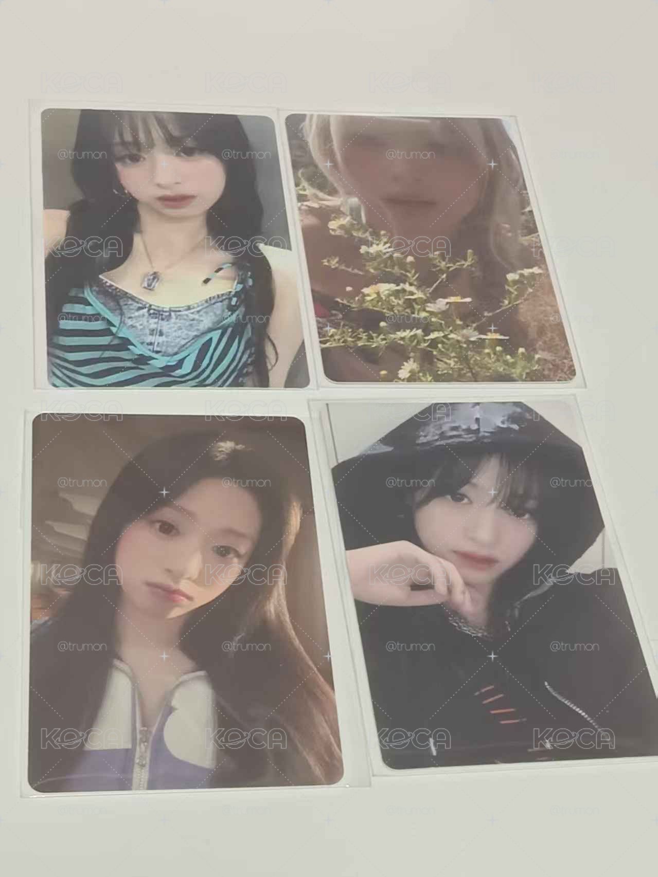 美美雅賢