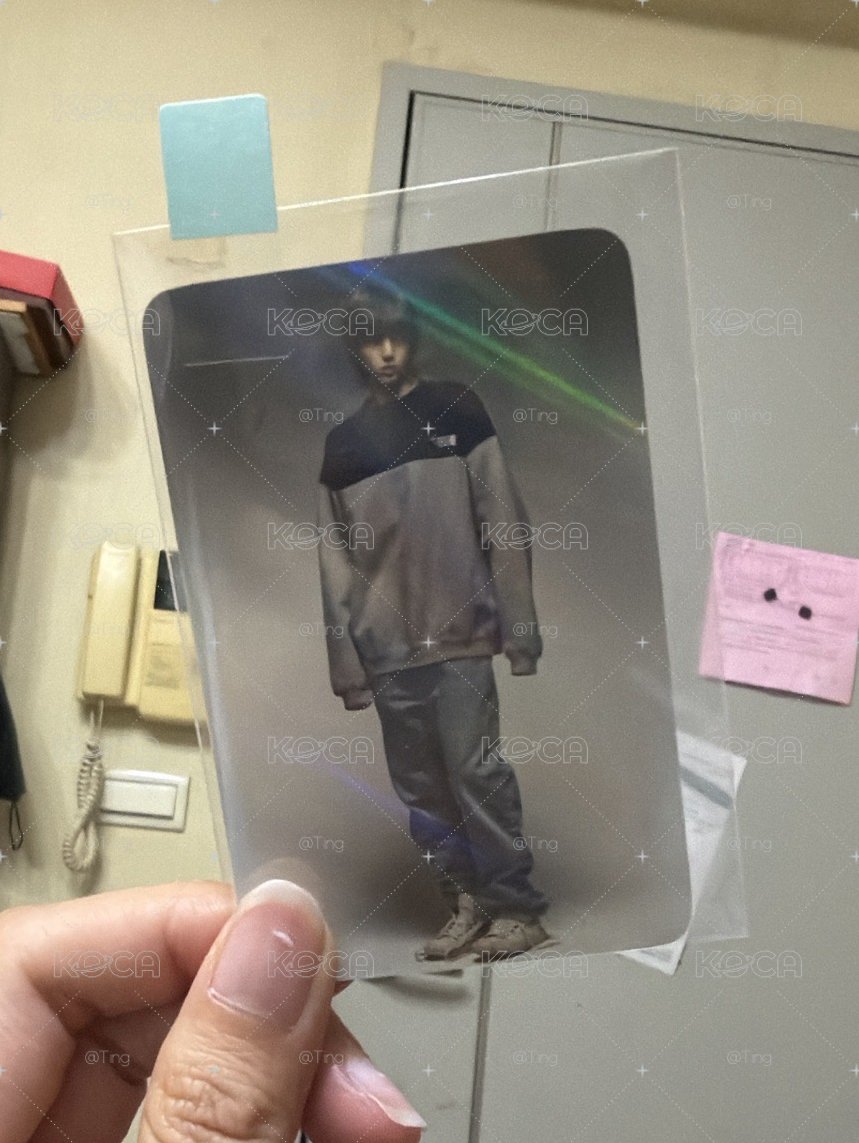 MS訓 現貨