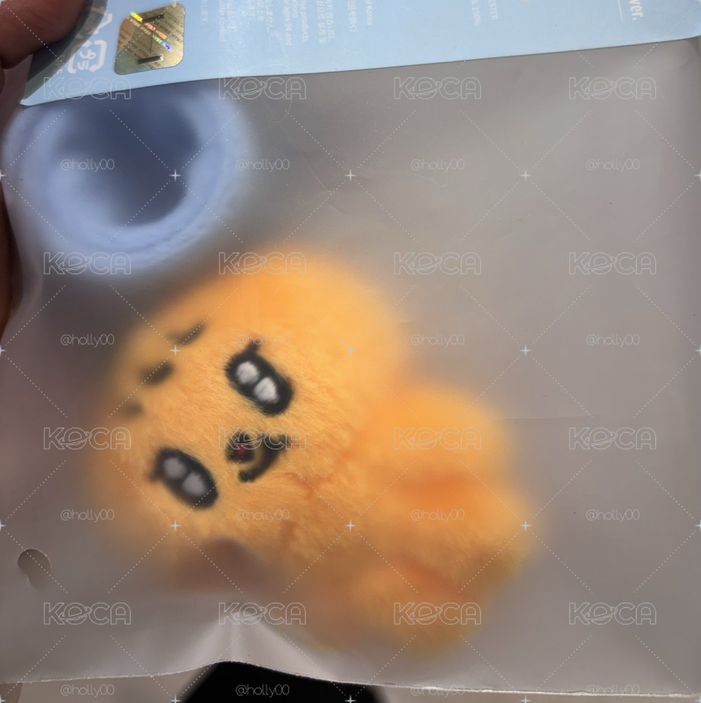 寛手燈環