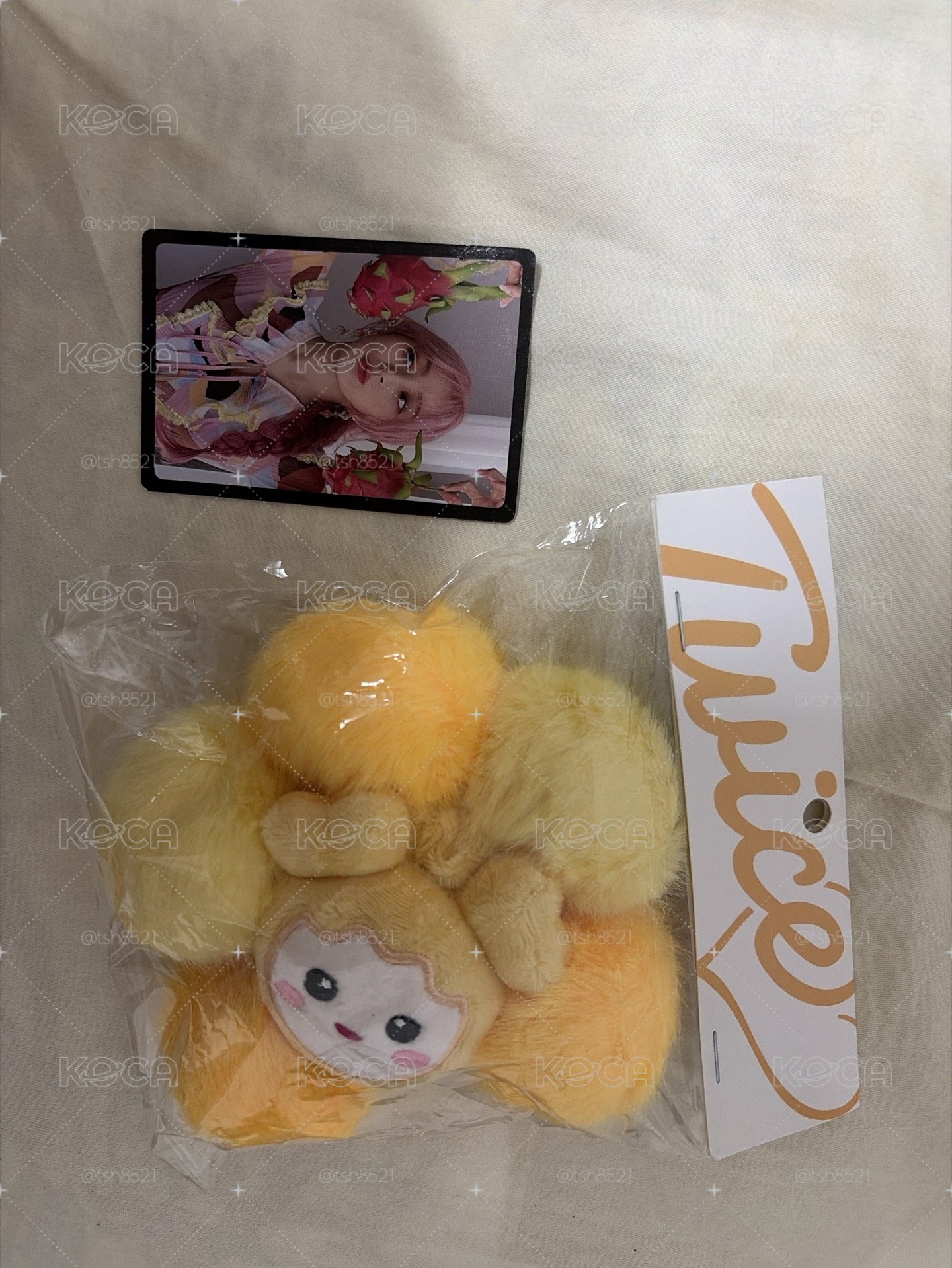 志效 髮圈+小卡