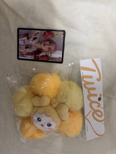 志效 髮圈+小卡