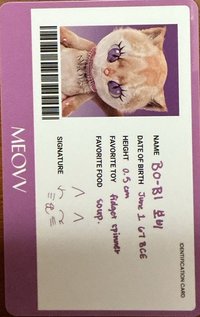 BITE NOW KITTY PLUSH ver. 專輯卡 ID證