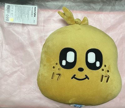 圓奎抱枕