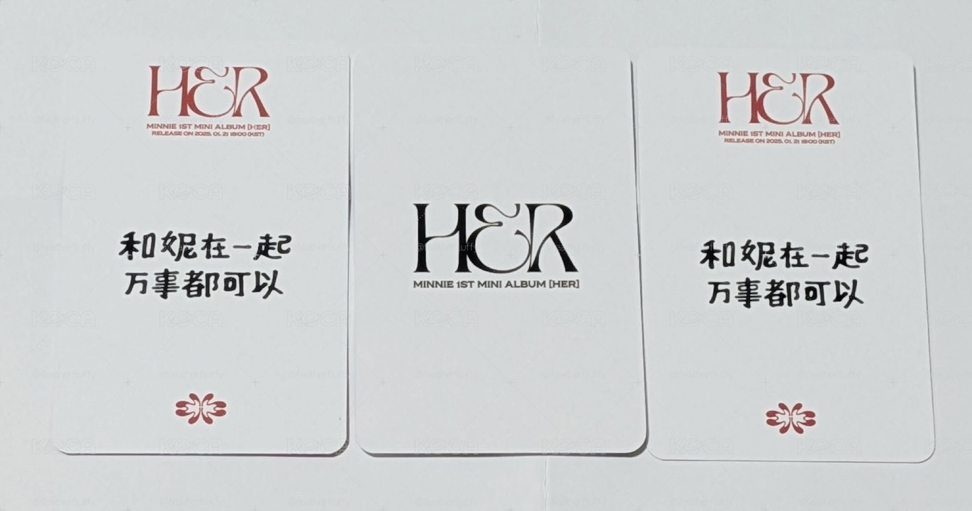 🐱 妮lo HER｜K4 向日葵中背特典 無尾熊簽售