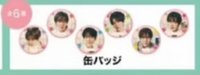 WISHFUL 徽章 
