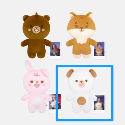 🐶小盤
