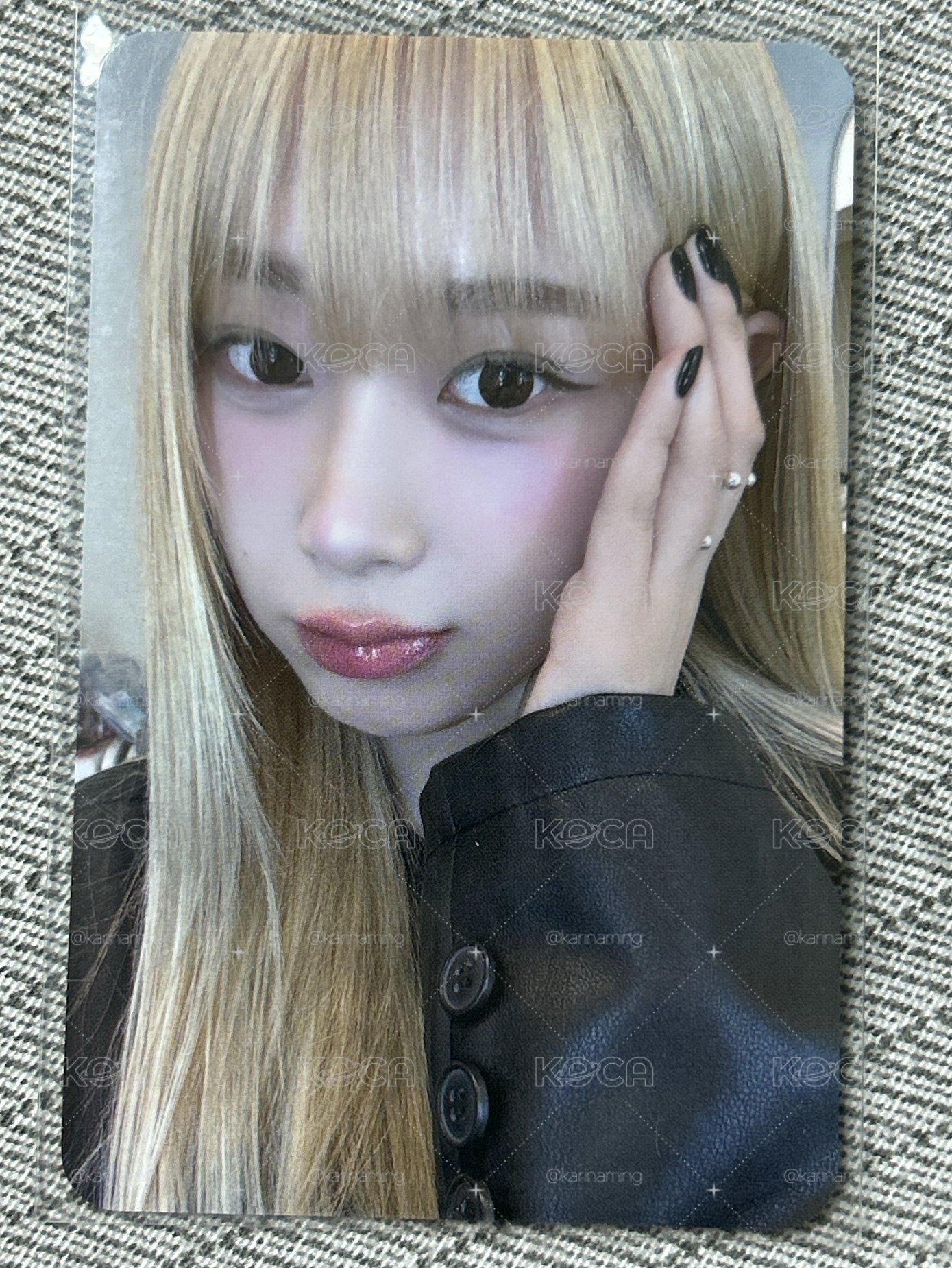 🌙1元起標 豬包吉🌙