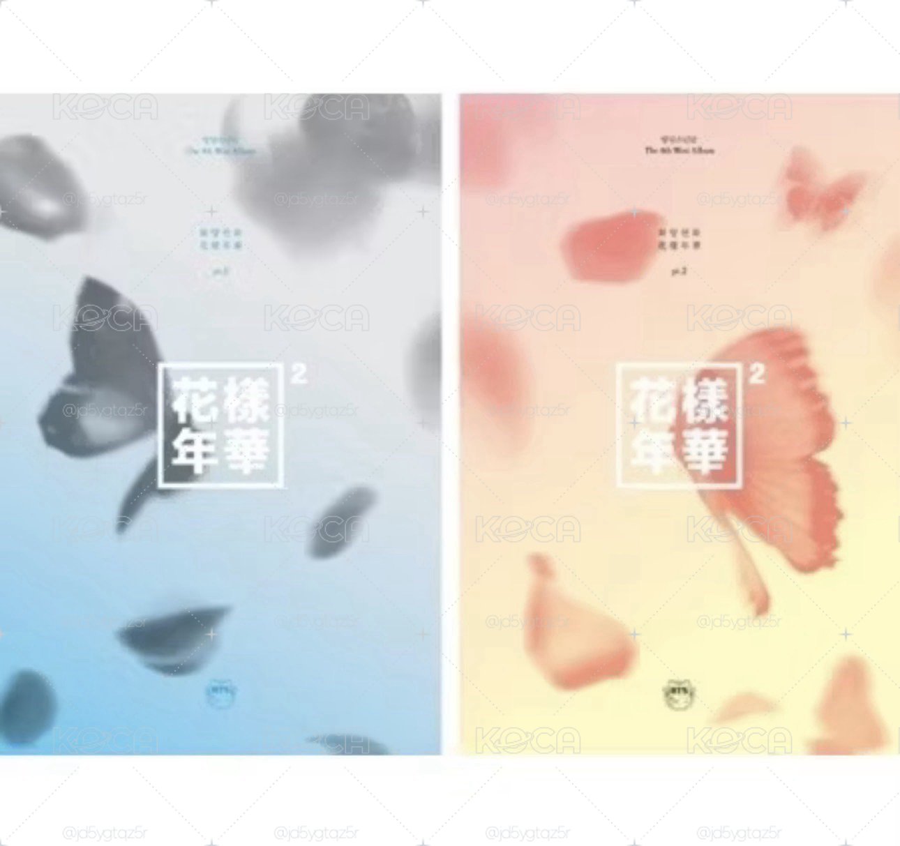 花樣年華
