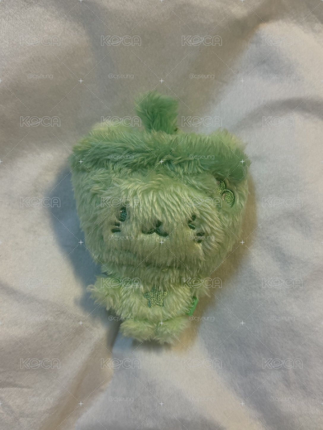 綠奶茶貓