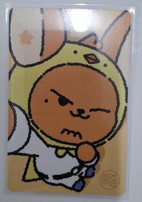 黃春 夏日滿額