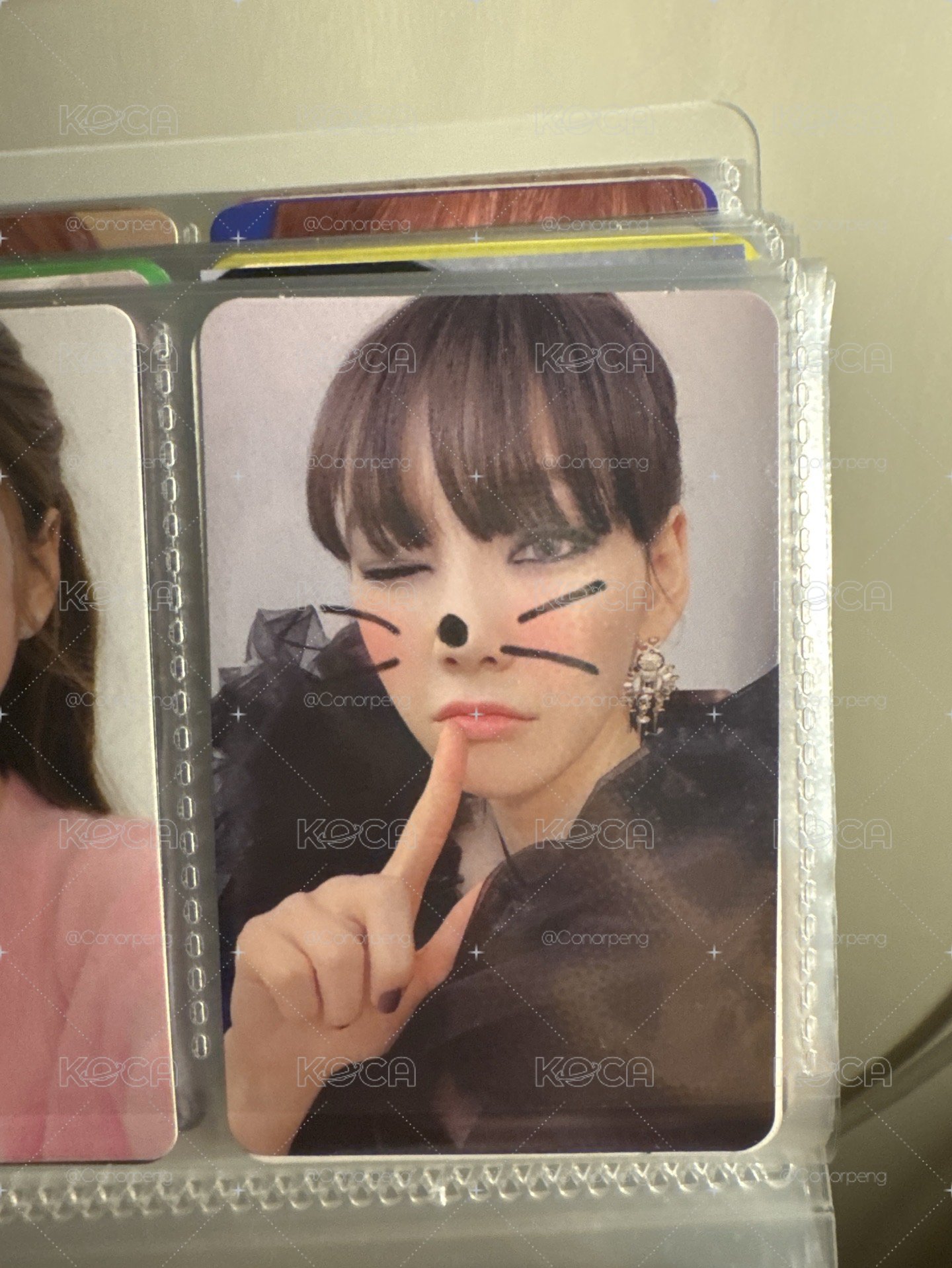 貓貓精靈王
