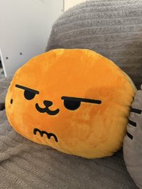 顯貓