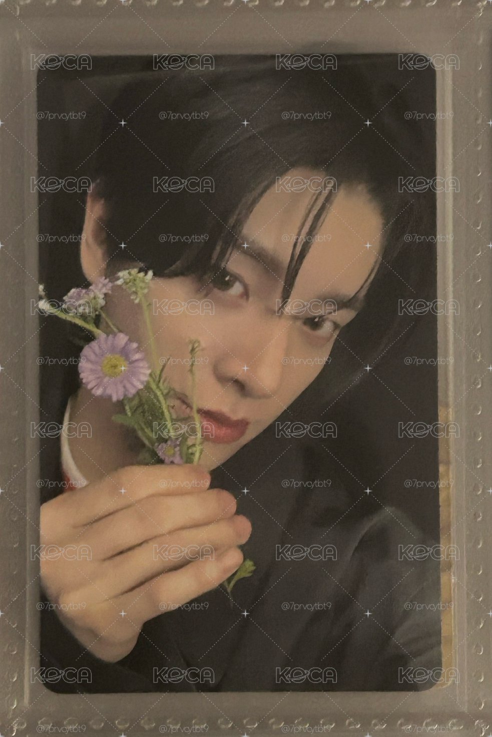 拿花狗