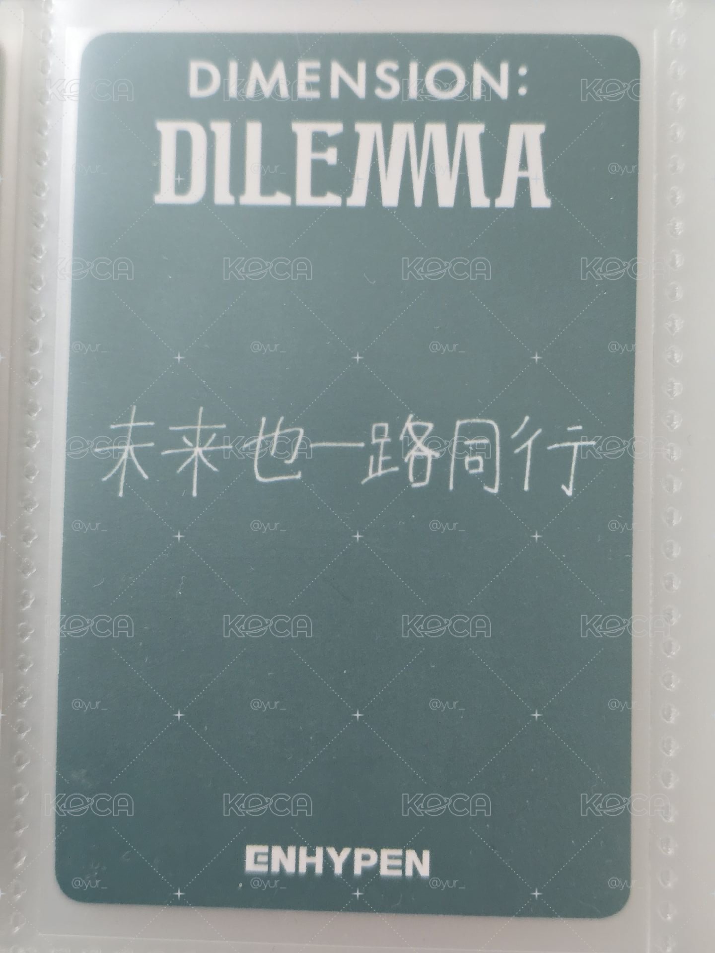 善禹一直娛中文卡背
