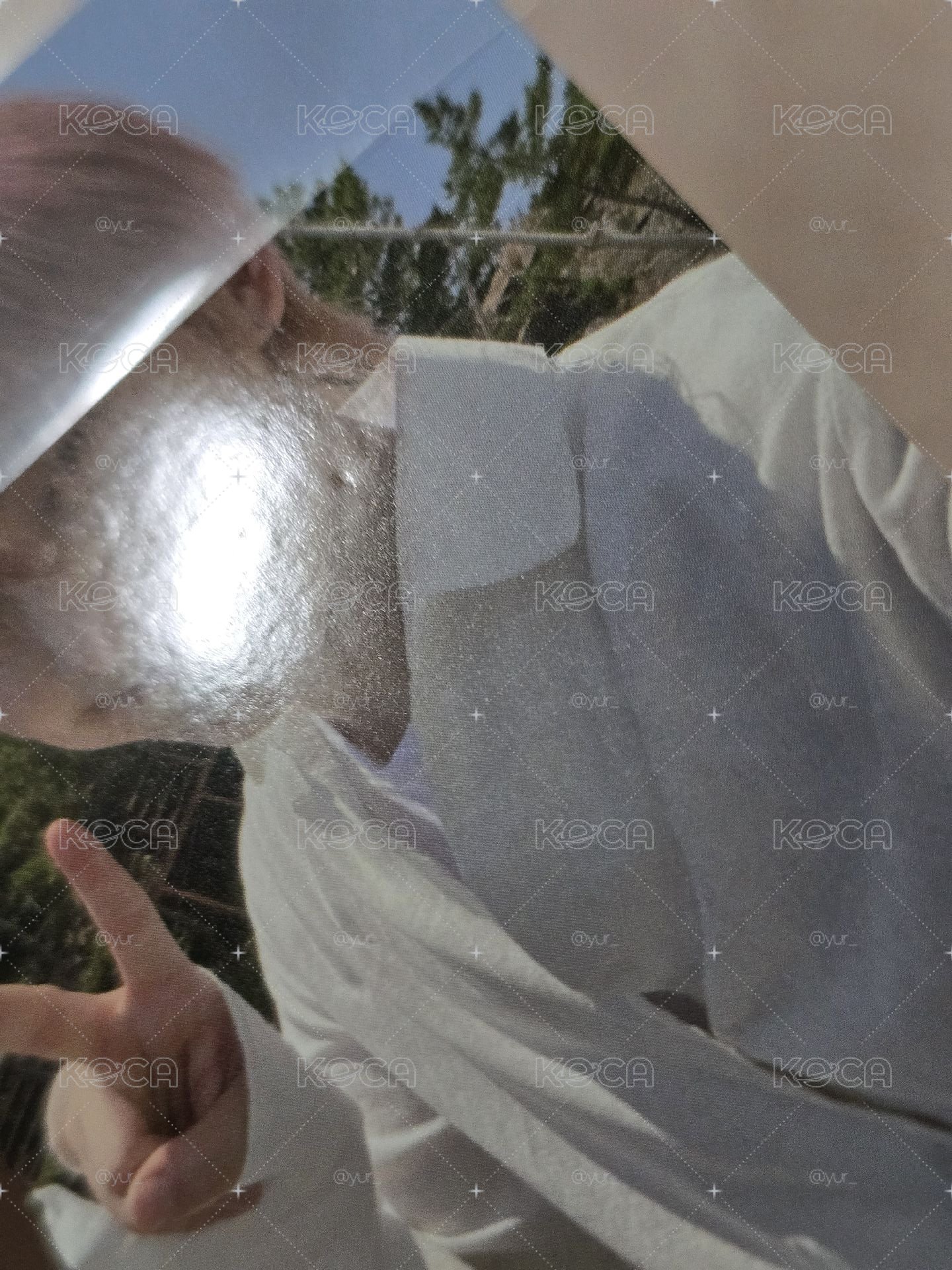 善禹一直娛中文卡背