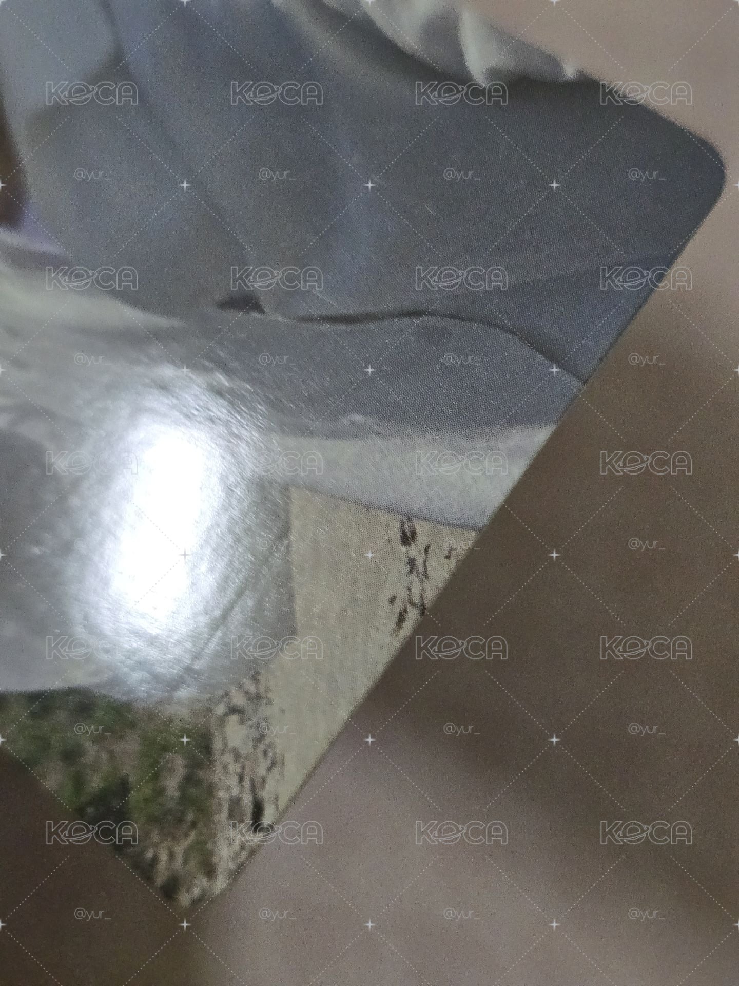 善禹一直娛中文卡背