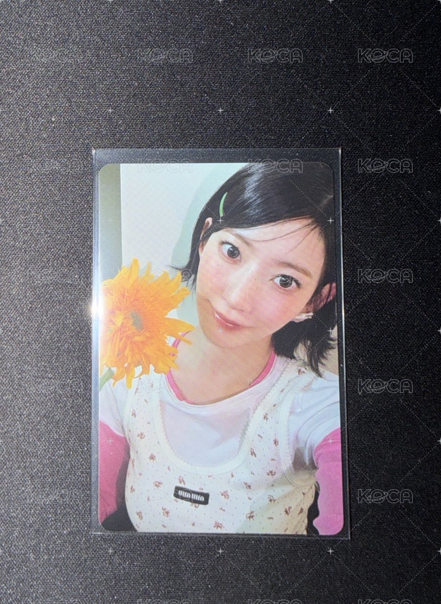 櫻 B ver. 