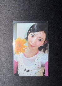 櫻 B ver. 