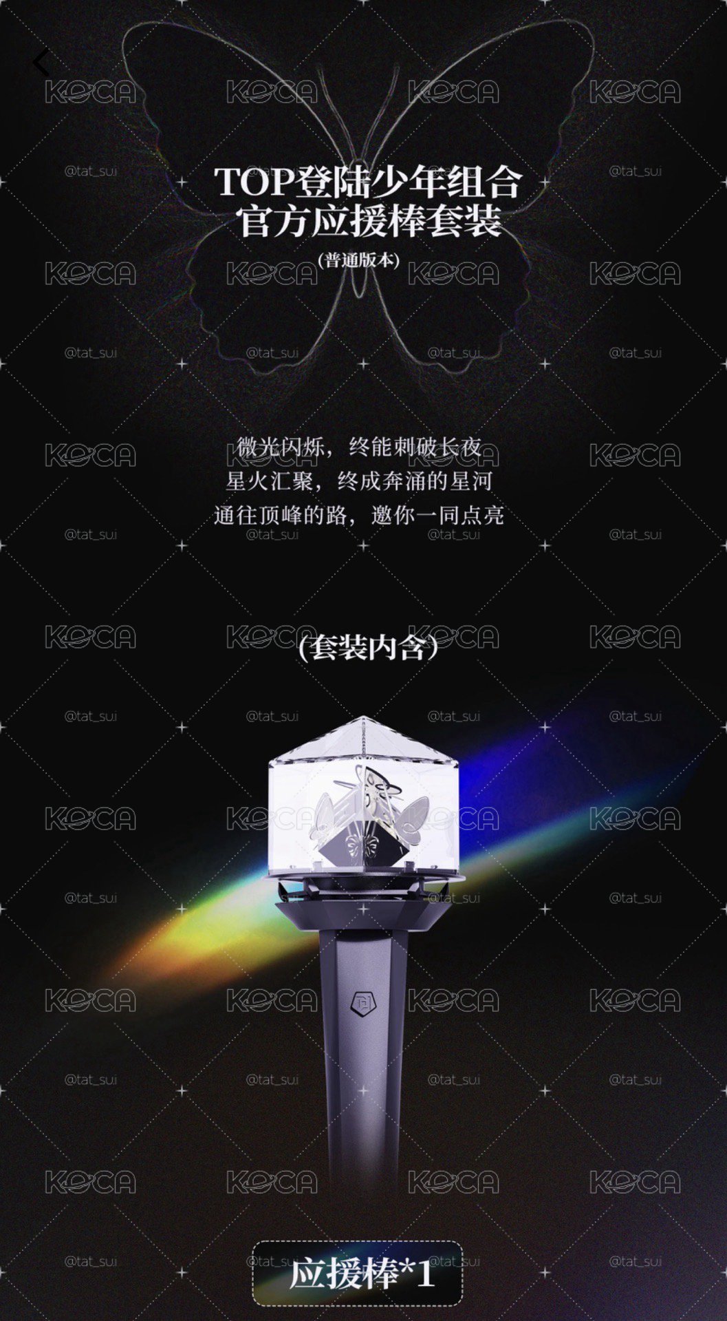 TOP登錄少年 應援棒