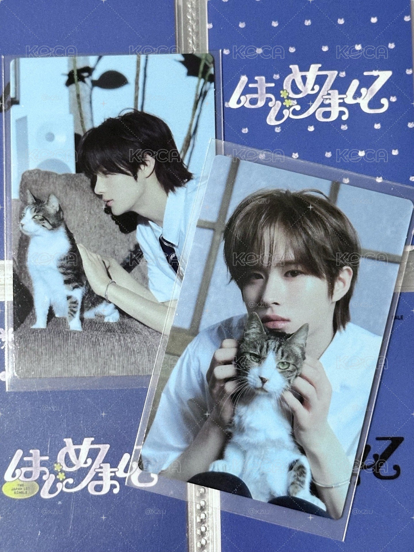 日專貓咪卡 英宰炅潣
