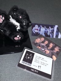 隱藏 團卡指貓貓