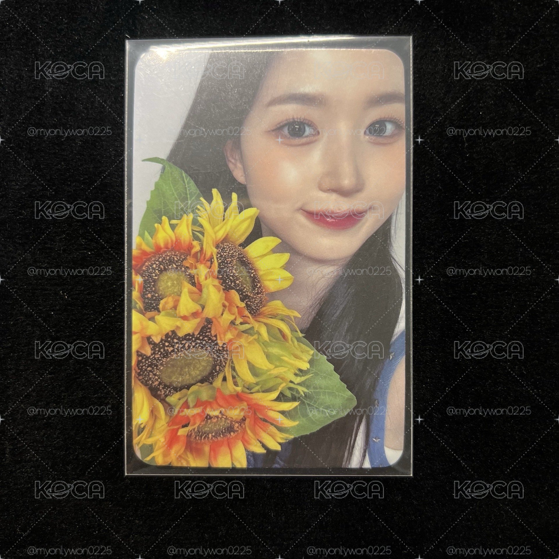 🐻‍❄️向日葵嫄🌻