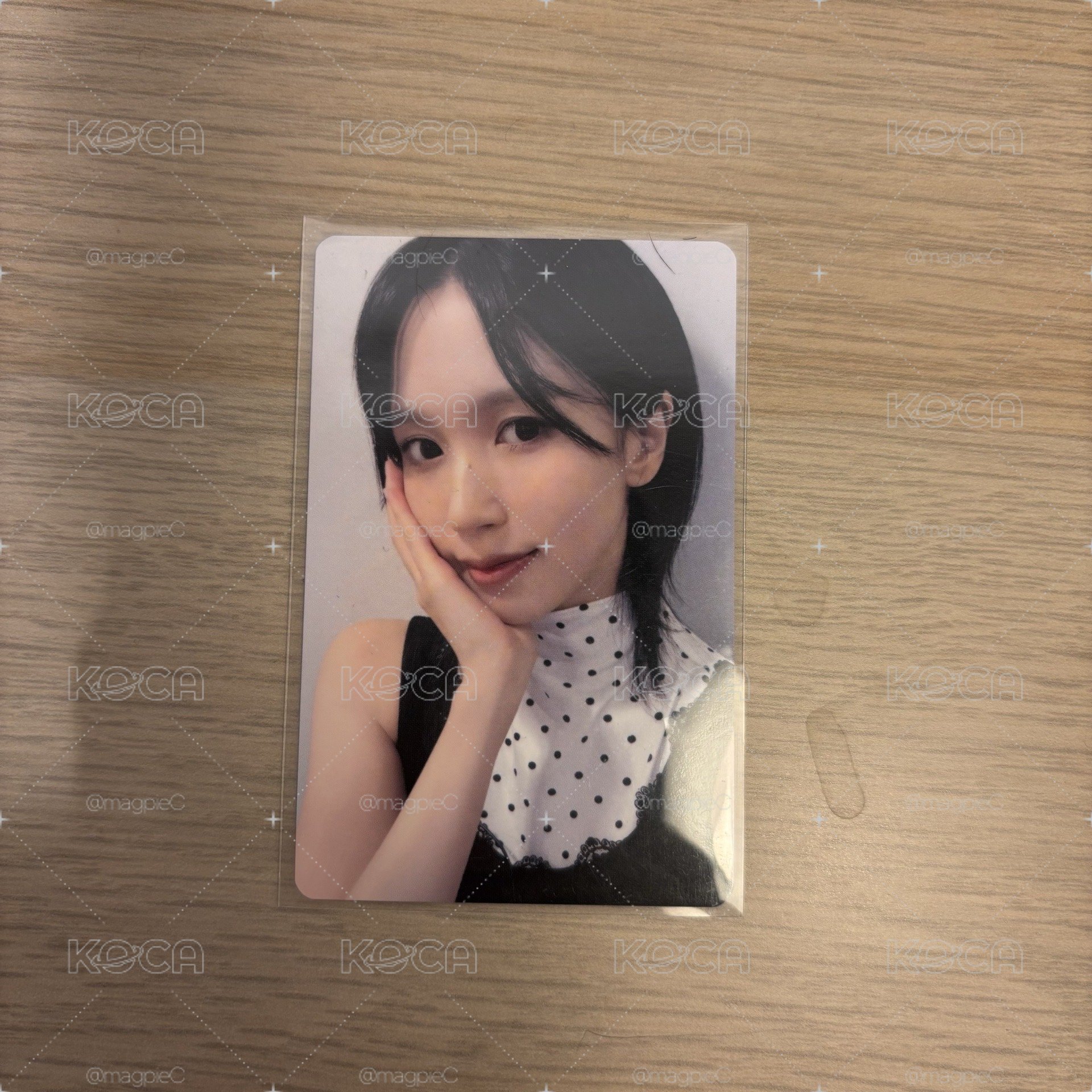 MINA 簽售1.0
