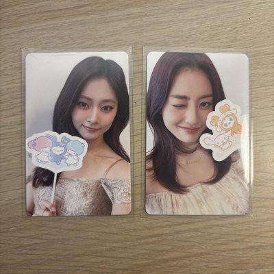 子瑜 志效 八週年三麗鷗卡