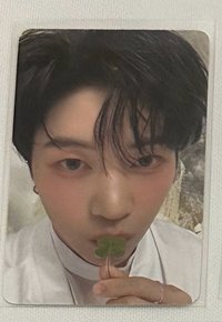 🍀四葉草中背