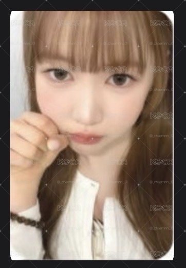Focus 星河5.0 yeon