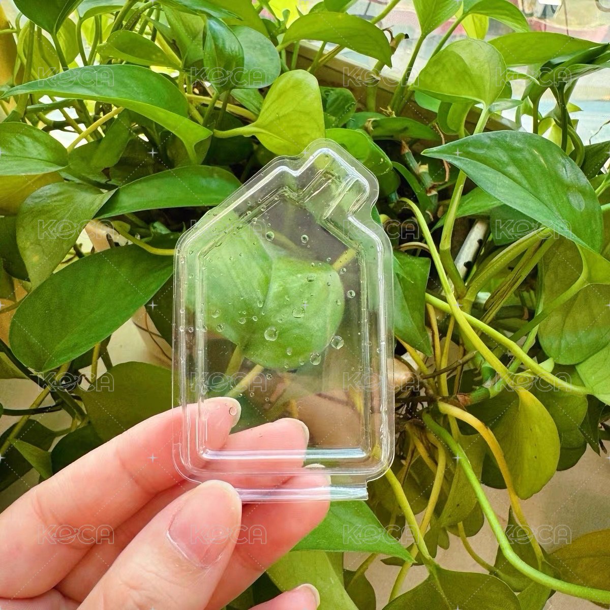 吊牌保護殼